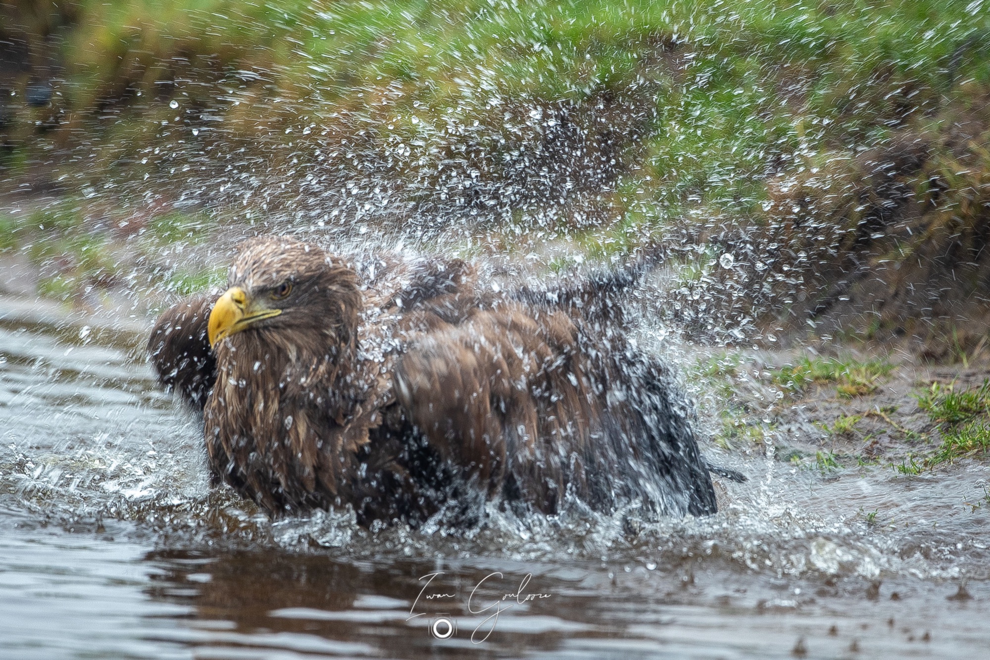 1DX46960 12 december 2021 1448 41